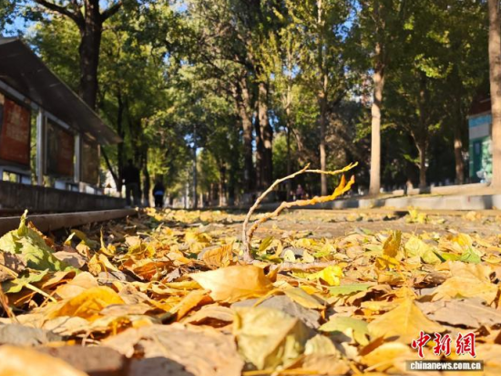 �S��54·��܉�܇�ؾ��h(hu��n)��������������߅�L(f��ng)ò�����������S���~䁝M·�������� ���z