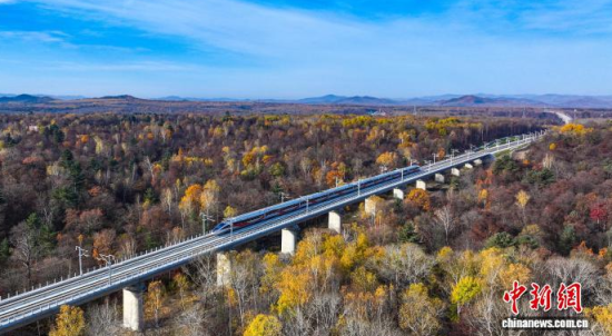 11��4������(f��)�d̖(h��o)��܇���Y����׸��F�ϡ���� �z