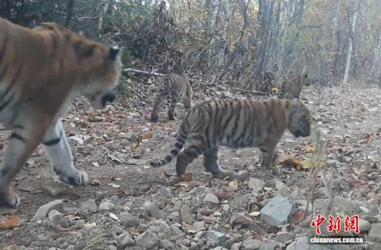 2025���ږ|���������ҹ��@�Ĕz���Ė|������(��ҕ��ý���D)