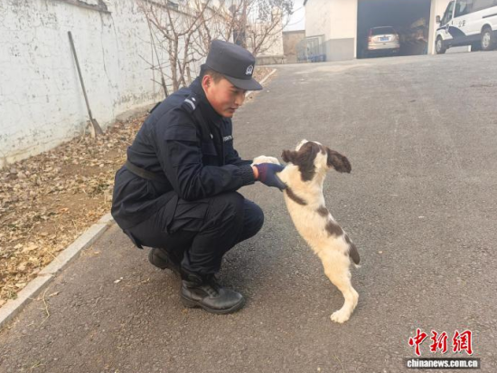 ���Ҳ������c�[�����B(y��ng)�H�ܶ�����ʯ���� �z